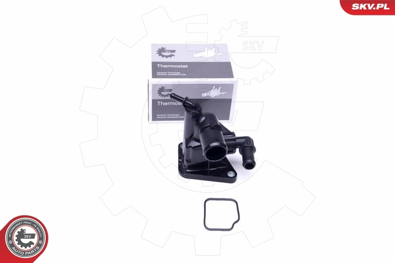 Thermostat, coolant